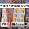 Viagra Kamagra 100Mg new13